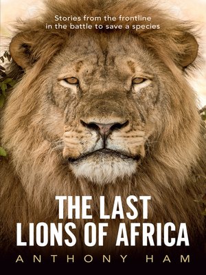 cover image of The Last Lions of Africa